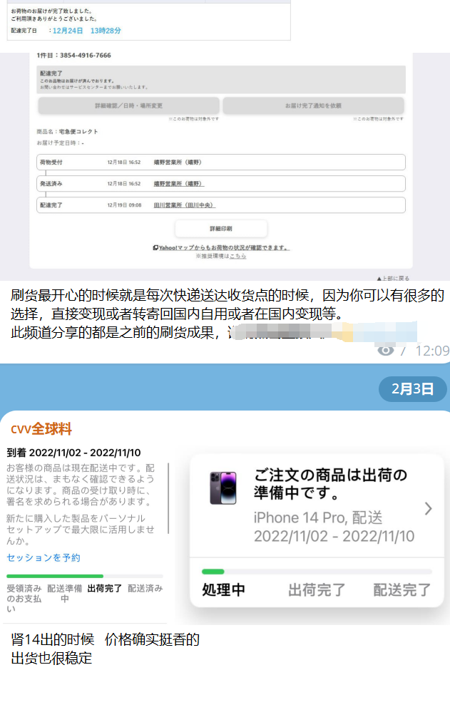 国外黑产项目拆解：日收入数万元的国内外信用卡CVV撸货 CVV刷货避坑-知行创业