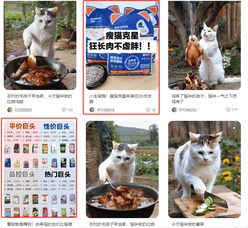 小红书上2个月涨粉2万+ 的猫咪做饭视频  五分钟教会你-知行创业